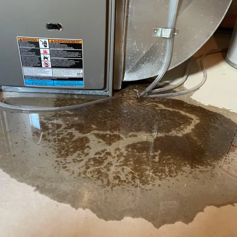 Appliance Leak Cleanup in Middlebourne, WV