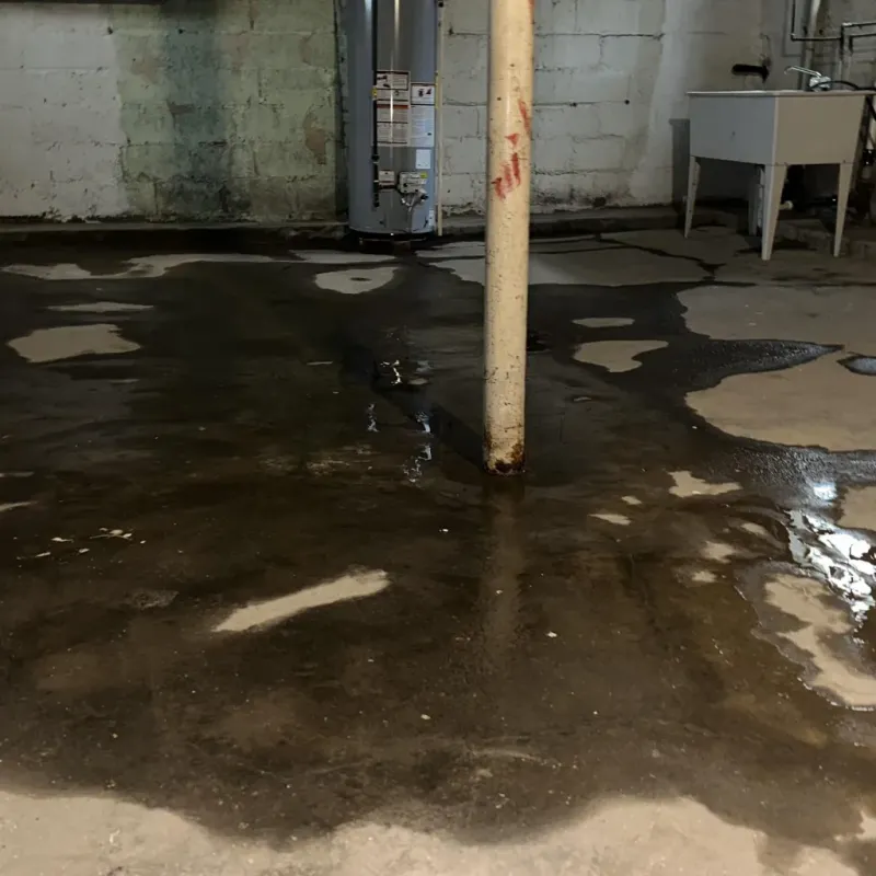 Emergency Water Extraction And Removal in Middlebourne, WV
